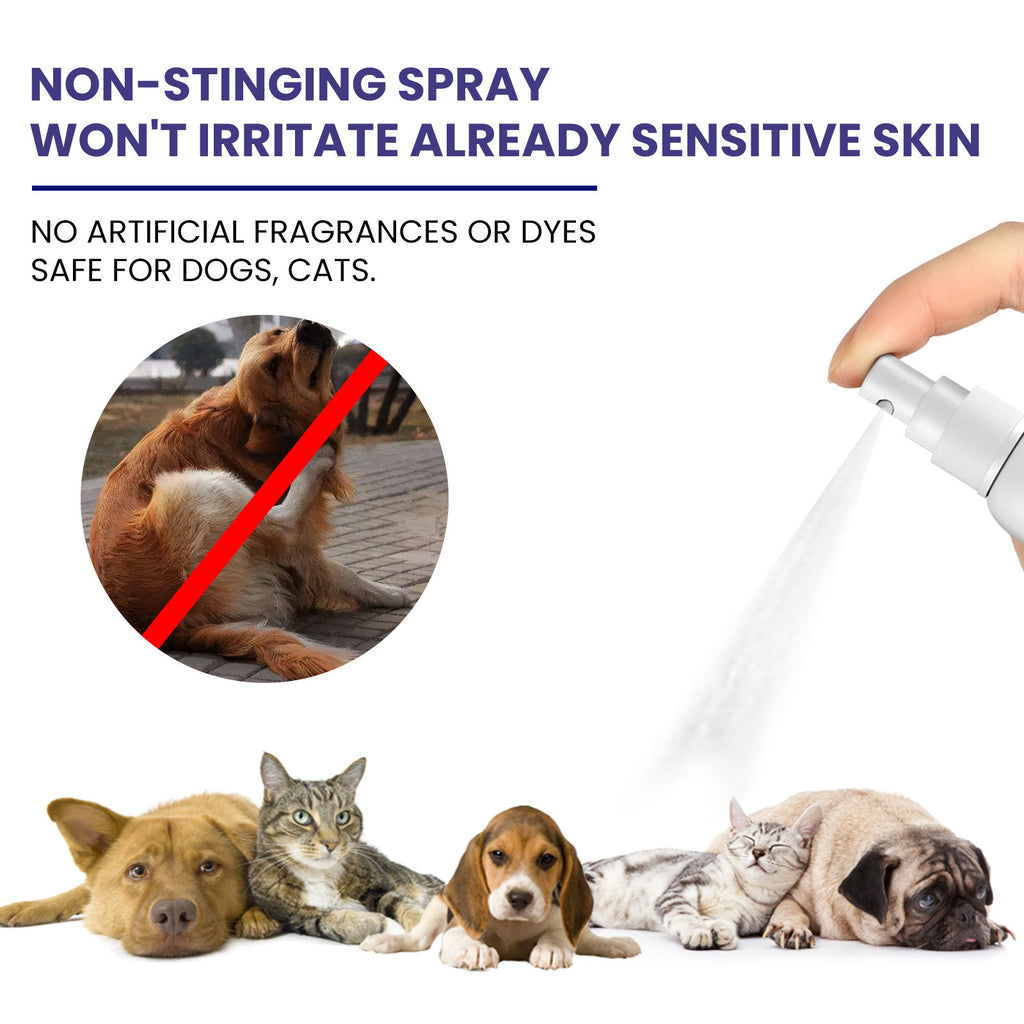 GlowMist™ Daily Care Spray | Skin & Coat Conditioner for Pets