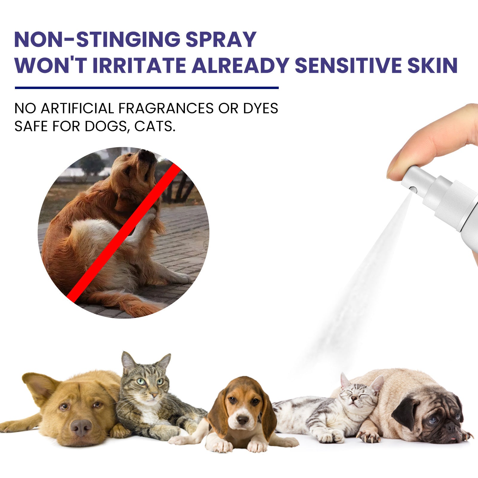 GlowMist™ Daily Care Spray | Skin & Coat Conditioner for Pets