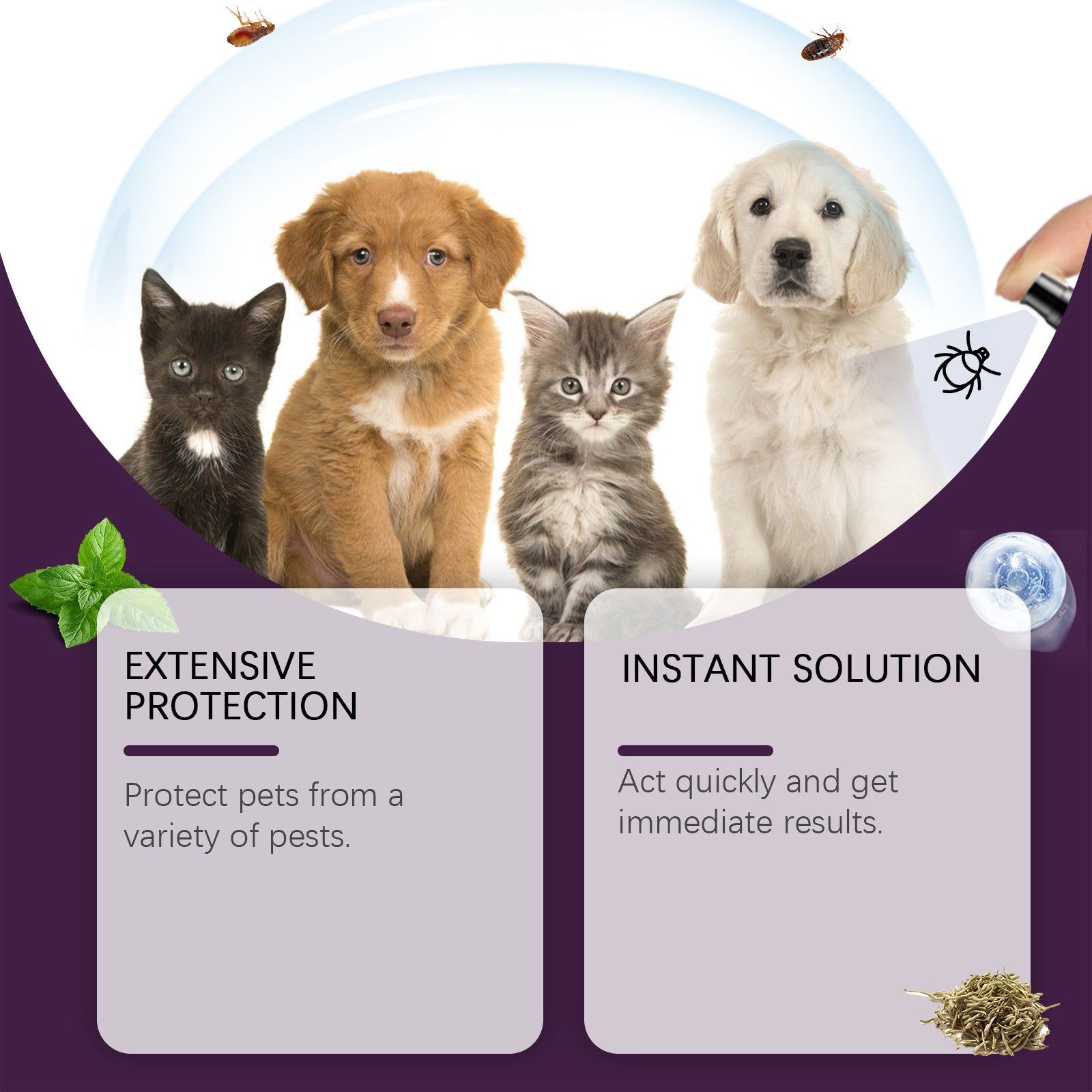 BugOff™ Natural Shield Spray | Pet Insect Repellent