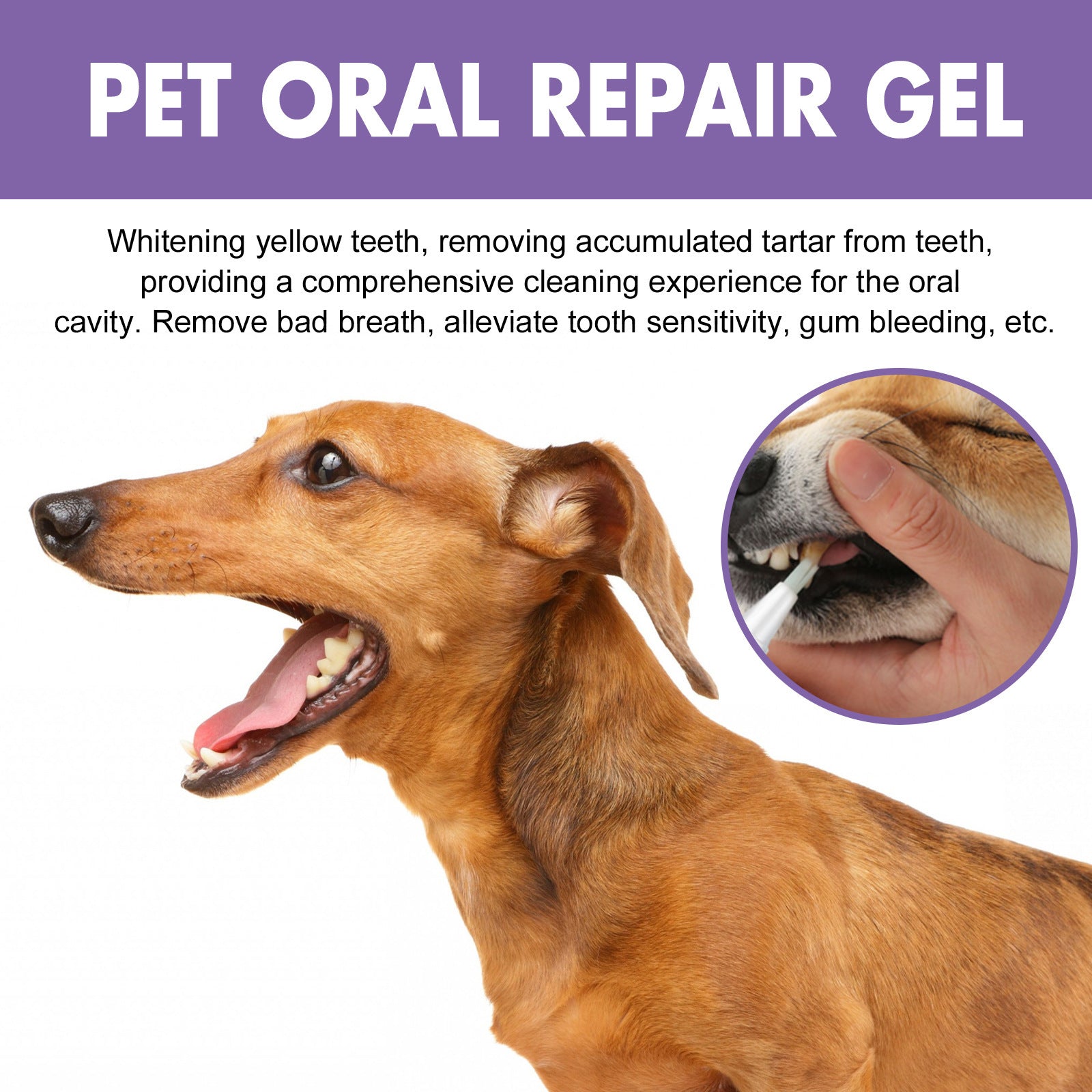 GlowSmile™ Repair Gel | Pet Dental Care & Gum Cleaner