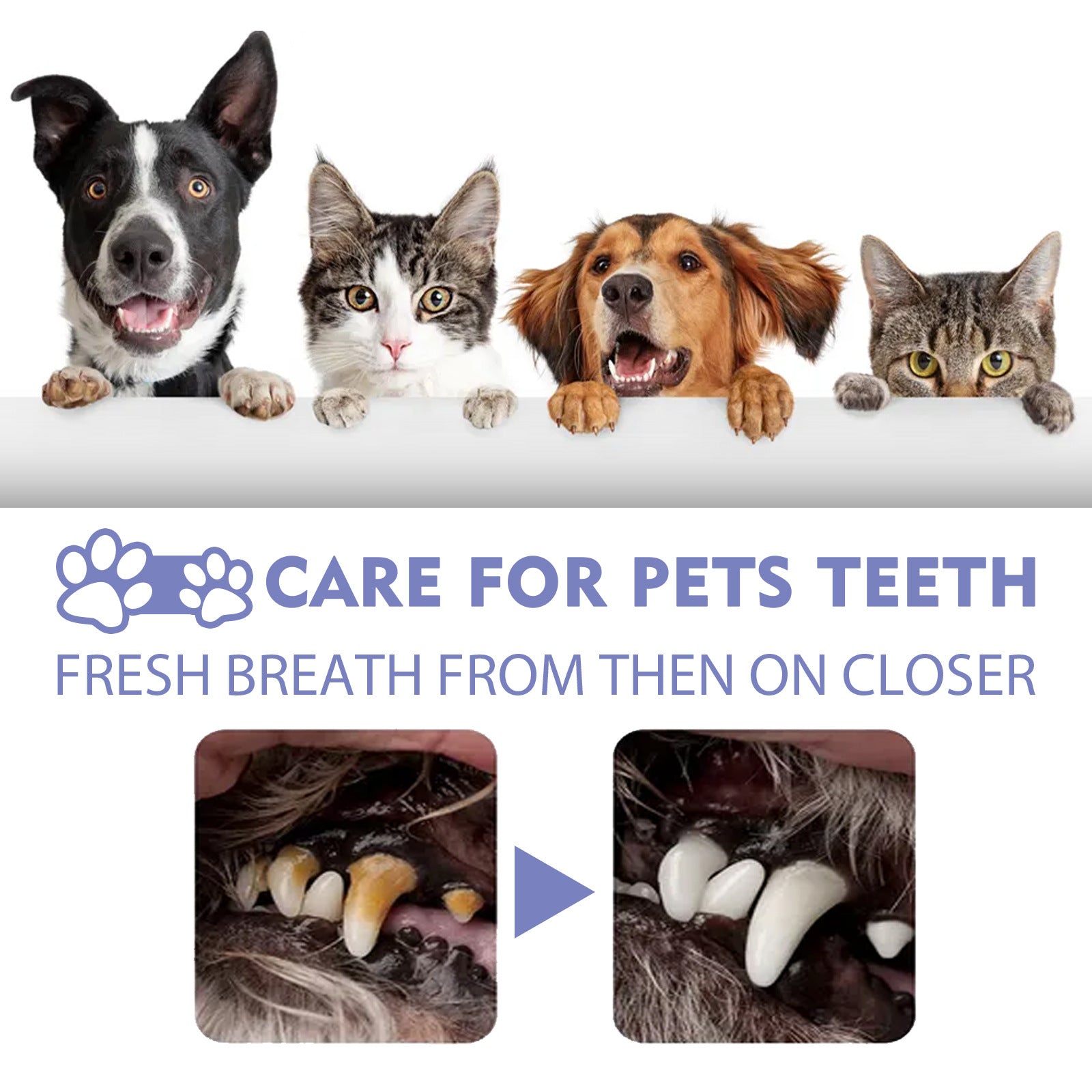 MintyPaw™ Fresh Breath Spray | Oral Care for Dogs & Cats
