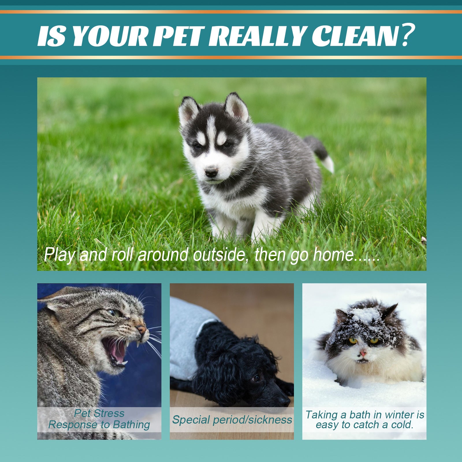 CleanPaws™ Spa Gloves | Grooming & Bath Gloves for Pets