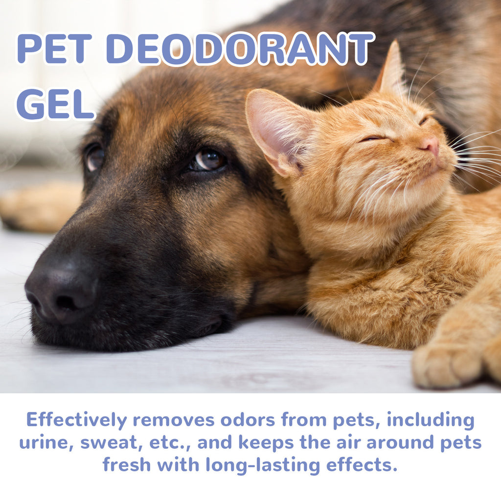 ZenPaw™ Deodorizing Gel | Long-Lasting Pet Odor Eliminator