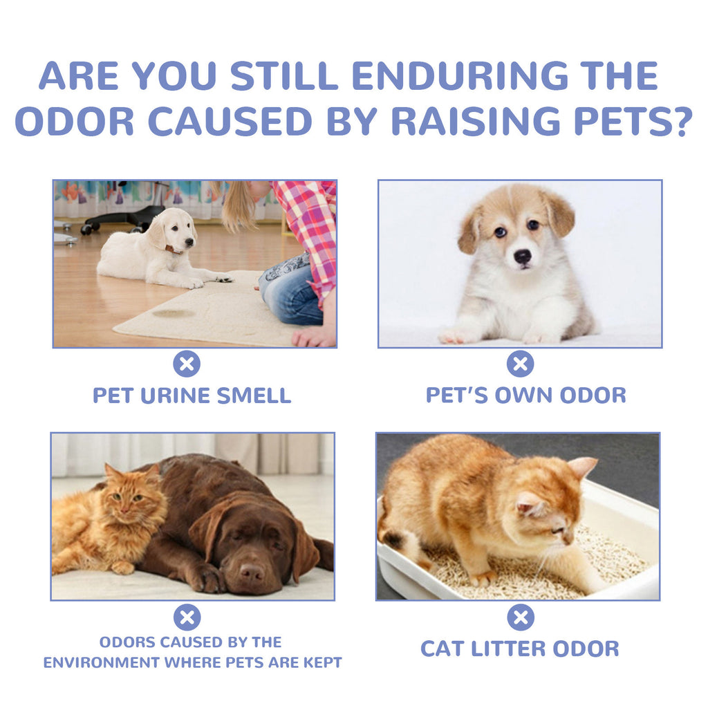 ZenPaw™ Deodorizing Gel | Long-Lasting Pet Odor Eliminator